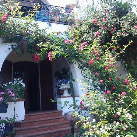 B&B Villa Piera Montecucco Stintino Exterior foto