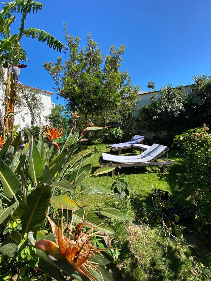 B&B Villa Piera Montecucco Stintino Exterior foto